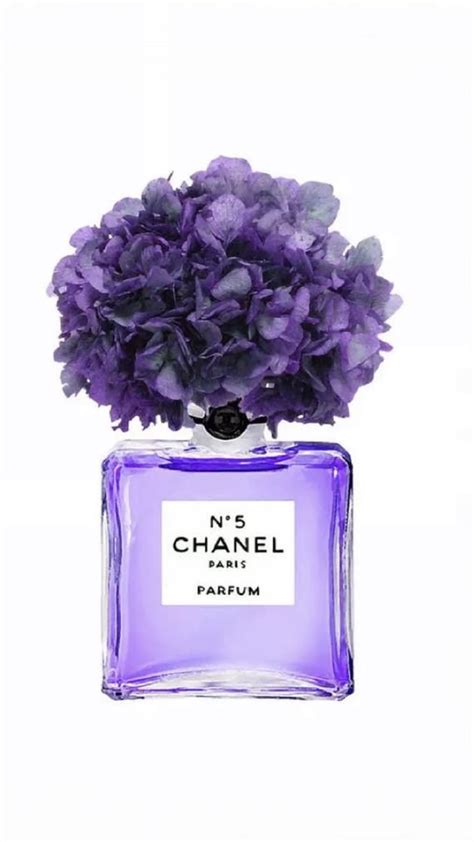 chanel perfum purple cancas